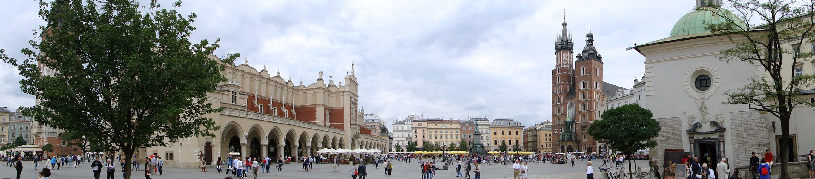 Consultation in Krakow