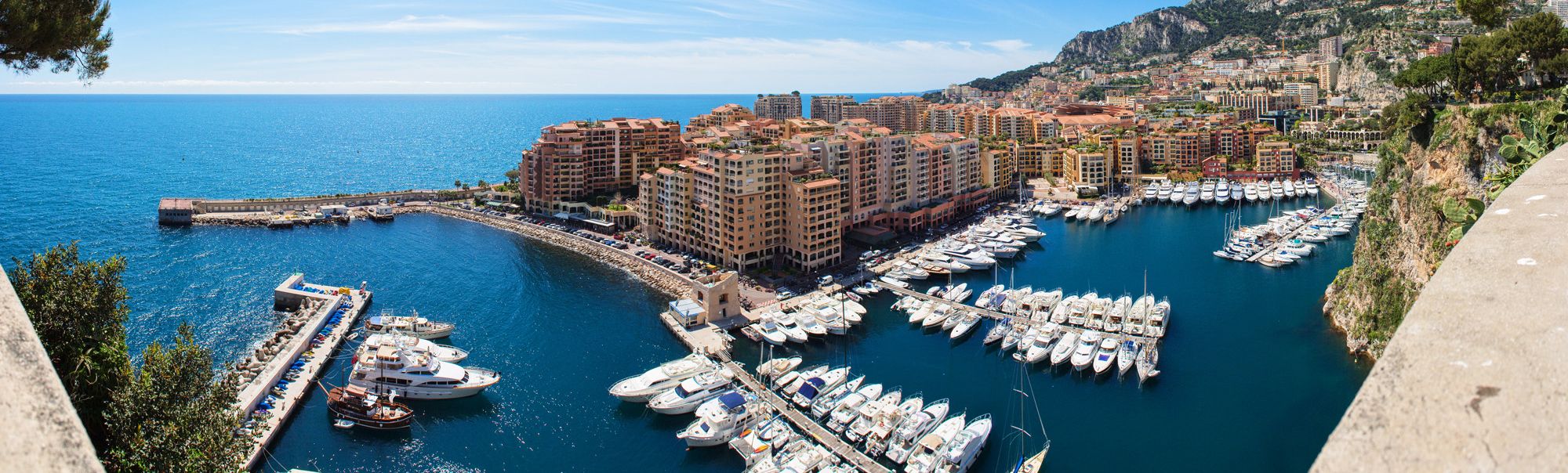 Consultation in Monaco 
